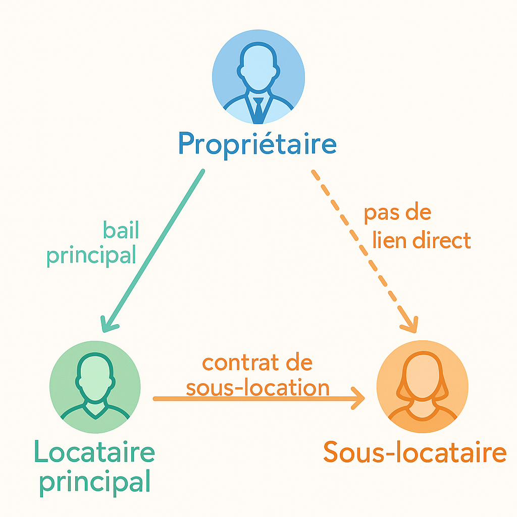 Schéma explicatif des relations contractuelles dans une sous-location légale en France